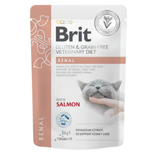 Brit Veterinary Diets Cat Pouch fillets in Gravy Renal 12 x 85 g